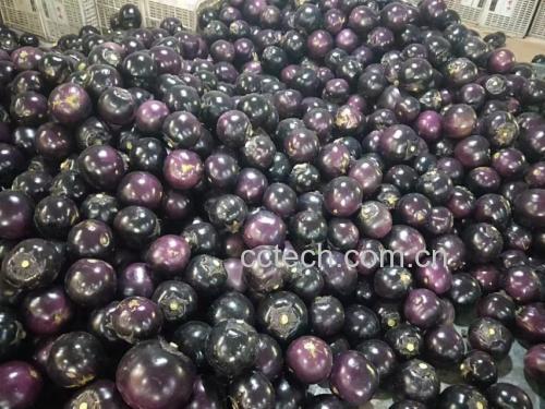 展示新鲜圆茄切片、腌制、煎制全过程的高清图片 茄片制作全过程