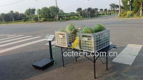 一位消费者正在市场挑选美都西瓜,手部动作为轻敲瓜面测试声音,背景为摊位上摆放整齐的西瓜 选购美都西瓜现场指导图