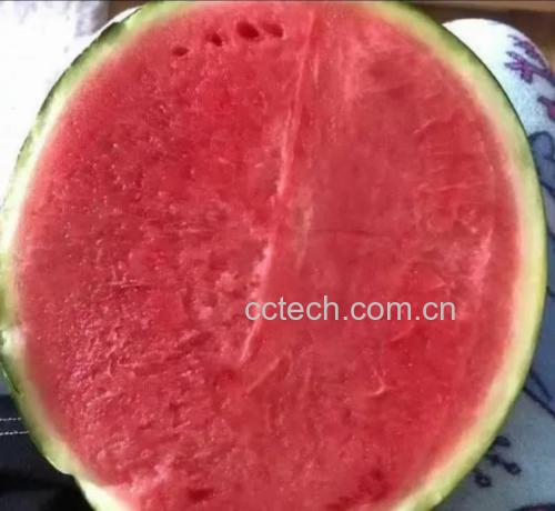特小凤西瓜切开图