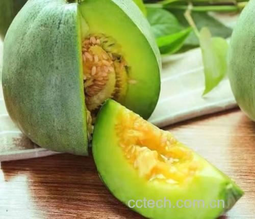 绿宝香瓜冰沙饮品图,杯壁有冷凝水珠,背景清凉感十足 绿宝香瓜冰沙饮品图