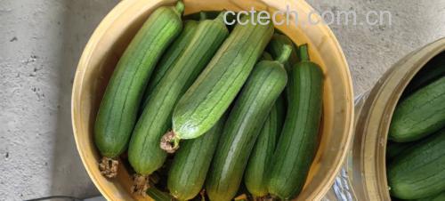 凉拌绿宝香瓜成品图,摆盘精致,色彩清新 凉拌绿宝香瓜成品图
