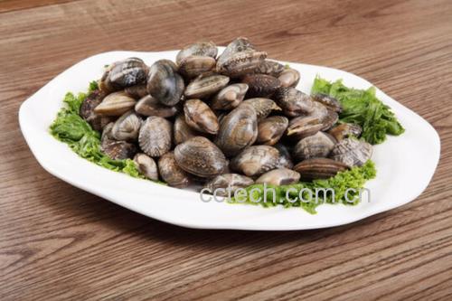 俯拍高清图:青翠螺旋螺丝椒与乳白扇贝柱交错分布,扇贝表面有细微焦点,油光莹润不泛白,盘底无水渍,配青花瓷浅盘,背景虚化竹筷与陶瓷调味罐 螺丝椒炒扇贝出锅特写