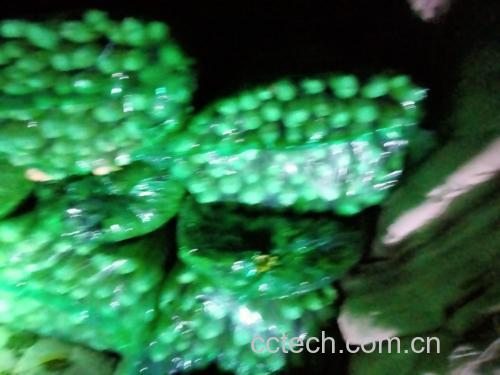 玻璃杯中盛放着清澈的绿色西芹汁,背景为厨房环境 西芹汁成品图