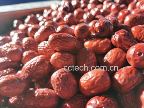 图片说明:展示灰枣剖面结构,突出果肉厚度、核小的特点,体现其食用价值 灰枣切开内部结构图
