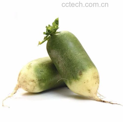 展示新鲜白萝卜与青萝卜并排摆放,外皮颜色对比明显 白萝卜与青萝卜外观对比图