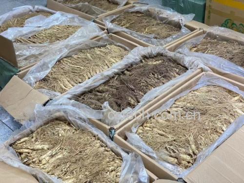 展示带有认证标志的西洋参片与三七粉产品包装,强调正品保障 西洋参与三七产品的包装展示图