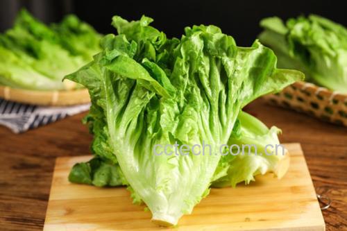一位厨师在农贸市场挑选新鲜的散叶生菜,手中拿着一捆叶片翠绿、根部洁白的散叶生菜,背景为阳光下的蔬菜摊位,突出食材的新鲜度和自然质感 挑选新鲜散叶生菜