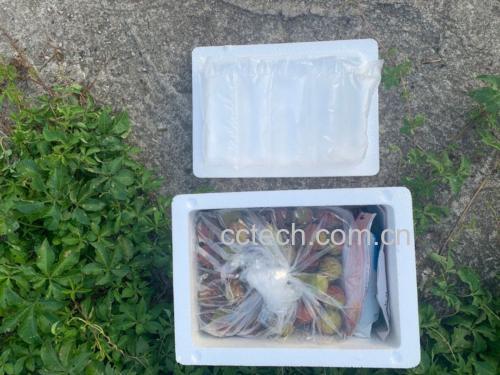 妃子笑茶叶的传统窨制工艺 妃子笑茶叶的制作过程