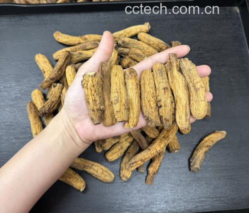 高丽参炖鸡汤成品图 高丽参炖鸡汤