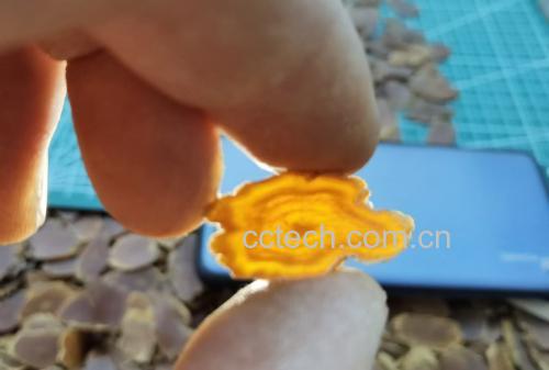 图片说明:高丽参通过多种生物活性成分增强免疫细胞功能的机制图解 高丽参免疫调节机制示意图
