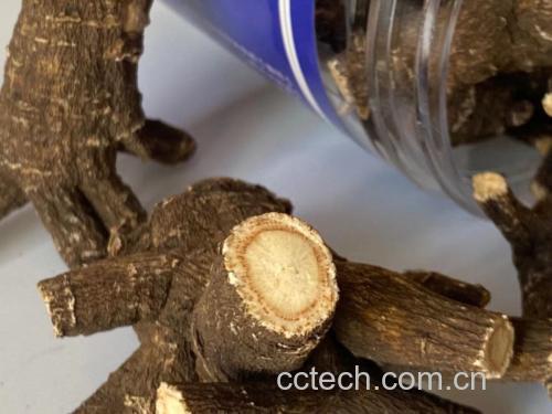 展示红参和西洋参的外观对比,左侧为红参,右侧为西洋参 红参与西洋参对比图