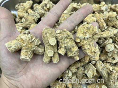 无人机俯瞰吉林抚松县北纬42°西洋参GAP基地:黑色遮阳网覆盖率达95%,土壤pH精准调控在5.8–6.2,参畦间距80cm保障通风,每平方米种植密度严格控制在25株,确保皂苷积累最大化 西洋参标准化种植基地航拍图