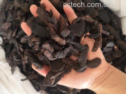 中医师正在调配含熟地黄的中药方剂
