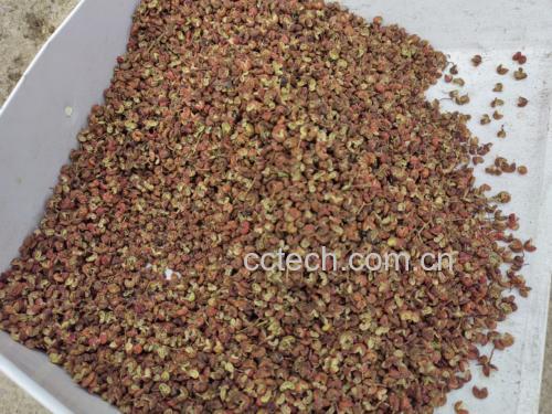 展示新鲜尖椒与干豆腐的原材料摆放,背景为厨房操作台 尖椒干豆腐的切法