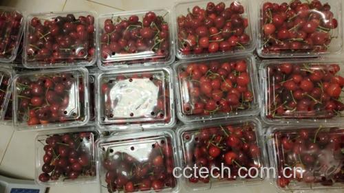 新鲜红灯樱桃整齐摆放在冷藏柜中,旁边是已封装好的樱桃干产品 红灯樱桃储藏展示图