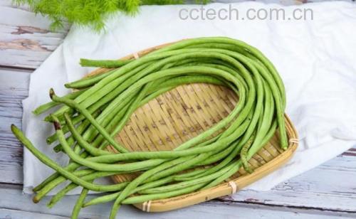一排新鲜翠绿的长豆角整齐地平铺在竹编筛子上,背景为农家小院阳光明媚的场景,豆角表面还带有细小水珠,显示刚清洗完毕 新鲜长豆角整齐摆放在竹筛上