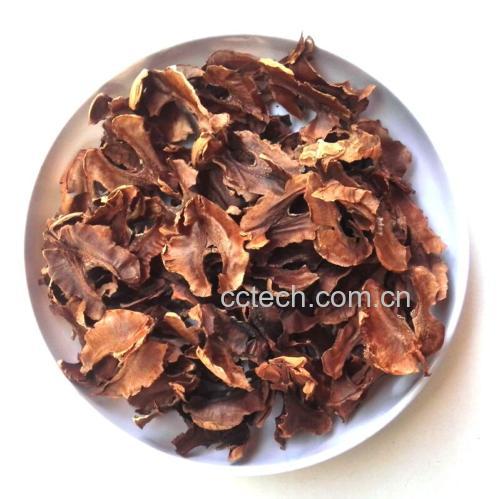 一颗完整的干核桃仁,表面覆盖着棕褐色的内皮,镜头聚焦于果仁与内皮交界处,清晰展示两者紧密贴合的状态,背景为浅色木质砧板 核桃内皮结构特写