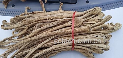 白萝卜干与青萝卜干的口感对比图,展示两者在咀嚼时的质感差异 白萝卜干与青萝卜干的口感对比