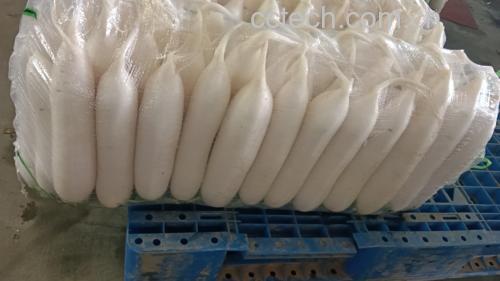 白萝卜酿肉成品图