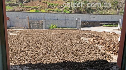 展示新鲜或干燥的怀牛膝与熟地黄根茎,背景为河南温县产地实景 怀牛膝与熟地黄实物图