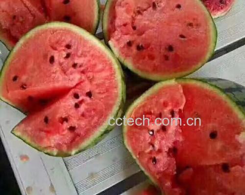 郑抗无籽3号切开特写：深红瓤色均匀无白筋，果肉细腻多汁，中心糖度测试仪显示12.8°Brix