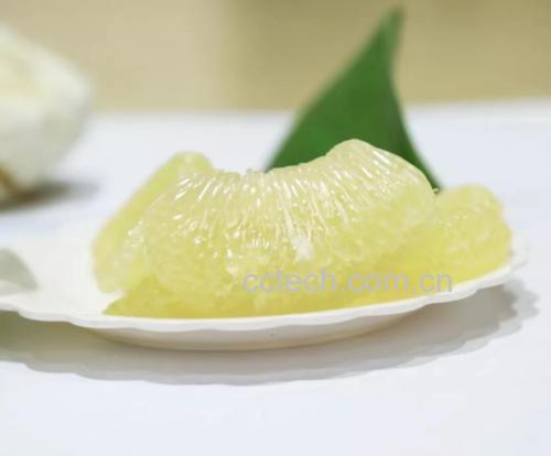 葡萄柚切片特写