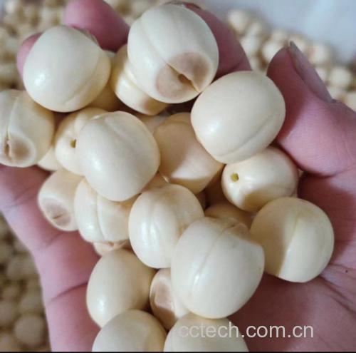 图片说明:红莲子与白莲子外观对比展示,左侧为红莲子,右侧为白莲子 红莲子与白莲子对比图