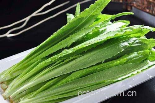 尖叶莴笋叶创新食谱成品图