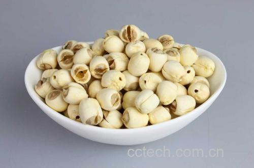 一碗热气腾腾的白莲子山药粥,色泽洁白,质地浓稠 白莲子山药粥成品图
