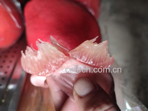 展示新鲜葡萄柚被手工剥皮并分瓣的过程 新鲜葡萄柚剥皮过程