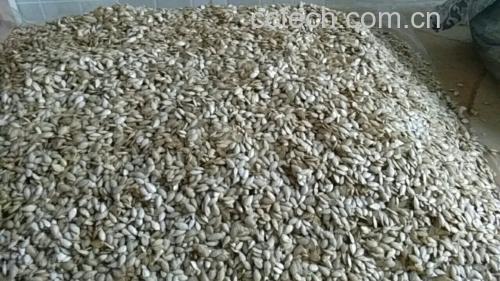 南瓜牛奶与其他代餐饮品、主食的热量与营养成分对比图表 南瓜牛奶与各类食材对比图