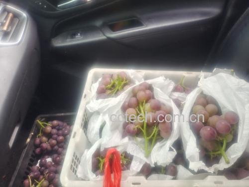 一位年轻人正在餐桌上享用一碗新鲜巨峰葡萄,旁边摆放着水杯和笔记本电脑,体现健康生活的理念 葡萄与健康生活方式结合图