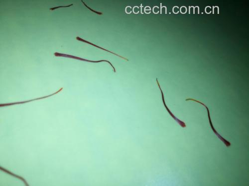 花青素分子结构示意图与实验分析场景 实验室分析花青素结构图