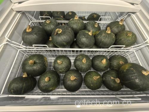 展示已处理好的板栗南瓜块、独蒜和板栗仁 独蒜板栗南瓜食材处理图