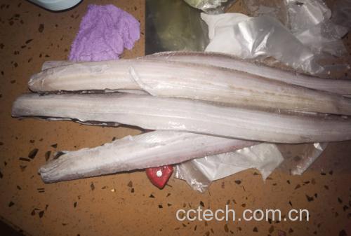 图片说明:一盘清蒸带鱼摆放在儿童餐桌上,旁边搭配蔬菜和米饭 儿童餐桌上的清蒸带鱼