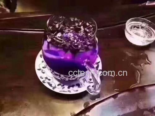 一杯透明玻璃杯中正在冲泡黑枸杞与干菊花,热水注入后黑枸杞释放出深紫色色素,菊花花瓣舒展呈淡黄色,背景为浅色木质桌面,旁边摆放一小碟干燥的黑枸杞和菊花干品 黑枸杞与干菊花混合冲泡特写