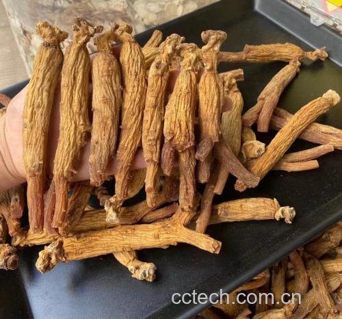 高丽参鹿茸泡酒所需的主要原材料展示,包括高丽参片、鹿茸片、白酒等 高丽参鹿茸泡酒材料展示