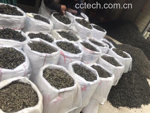 新鲜的黑木耳在市场上摆放出售 黑木耳在市场上的新鲜状态