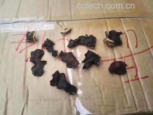 图片说明:展示毛木耳的主要营养成分数据,帮助读者了解其健康价值 毛木耳营养成分表