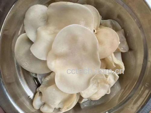 新鲜黑木耳在清水中泡发,表面光滑,质地柔软 黑木耳在水中泡发的场景