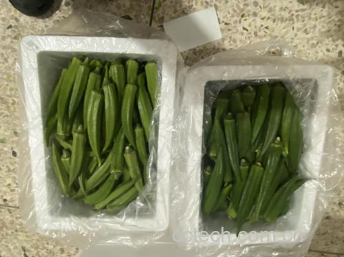 一盘色泽翠绿、香气扑鼻的清炒圆包菜摆放在餐桌上 清炒圆包菜成品图