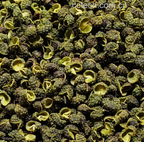 显微镜下花椒油腺结构清晰可见,圆形油囊分布在果皮表面,内部充满挥发性精油;图示标注主要化学成分分布区域,包括山椒素晶体、柠檬烯微滴等 花椒显微结构示意图