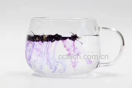 玻璃杯中浸泡着数朵干燥的黑枸杞花,花瓣舒展呈淡紫色,水面泛起轻微蓝紫色光泽,旁边放置一小碟未泡发的干花,展示其使用方式 黑枸杞花茶冲泡效果图