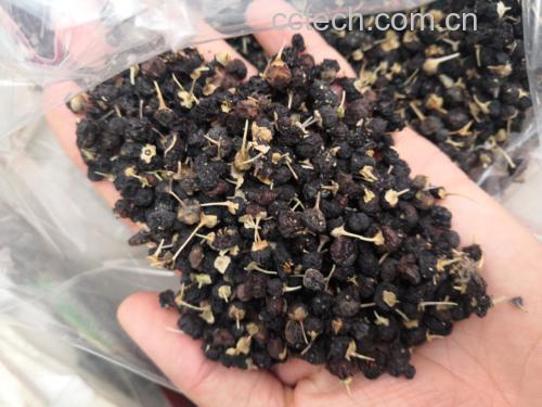 黑枸杞泡水后可以直接食用,保留营养成分 黑枸杞泡水后可以直接食用