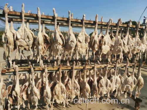 姜母鹅食材摆盘图