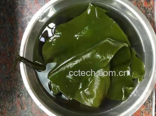 展示干海带焯水的过程,锅中水已沸腾,海带正在焯烫 干海带焯水过程
