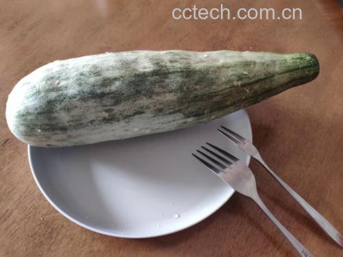 一张圆形白色餐盘中摆放着四种不同形式的羊角蜜甜瓜制品:左侧为冰镇切块,右上为酸奶杯,右下为蔬菜沙拉,下方为一杯绿色果昔,背景为夏日庭院风格,阳光明媚 羊角蜜多种吃法拼盘展示图