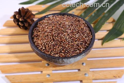 一碗酸奶碗中加入带皮红提和燕麦片,展现健康饮食理念 红提搭配酸奶的健康早餐图