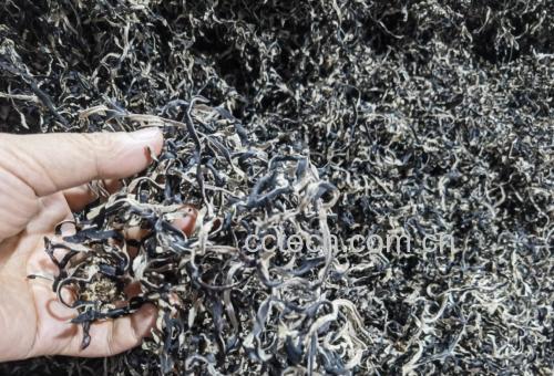 毛木耳特写:展示其自然形态与表面细密绒毛特征 毛木耳特写