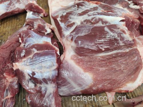 木瓜、花生、猪骨等食材整齐摆放在案板上 木瓜花生煲汤食材展示